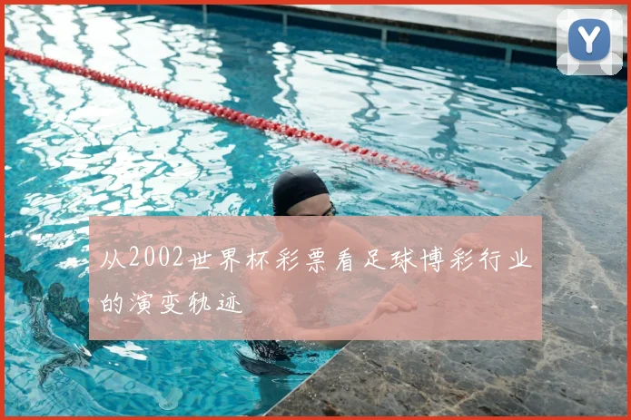 从2002世界杯彩票看足球博彩行业的演变轨迹