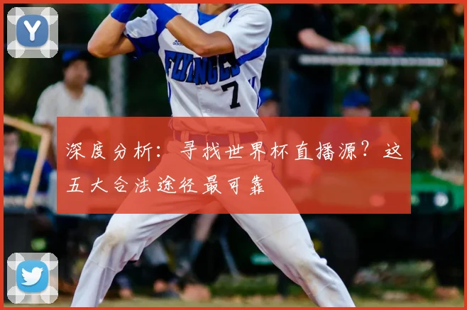 深度分析：寻找世界杯直播源？这五大合法途径最可靠
