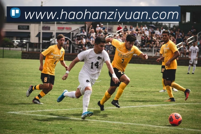 App Interface Preview